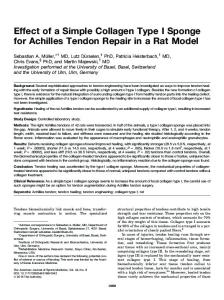 Effect of a Simple Collagen Type I Sponge for Achilles Tendon Repair in a Rat Model