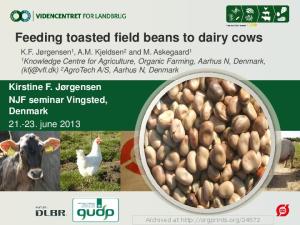 Feeding toasted field beans to dairy cows