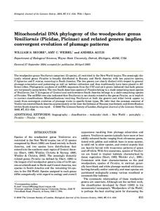 Mitochondrial DNA phylogeny of the woodpecker genus Veniliornis (Picidae, Picinae) and related genera implies convergent evolution of plumage patterns