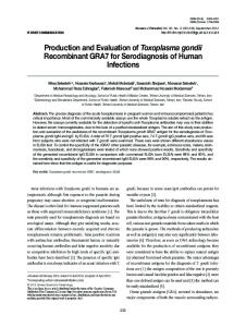 Production and Evaluation of Toxoplasma gondii Recombinant GRA7 for Serodiagnosis of Human Infections