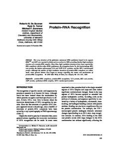 Protein RNA Recognition