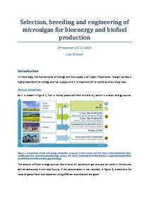 Selection, breeding and engineering of microalgae for bioenergy and biofuel production