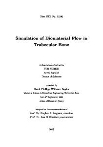 Simulation of Biomaterial Flow in Trabecular Bone
