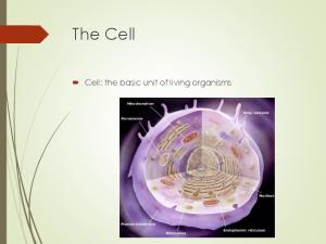 The Cell. Cell: the basic unit of living organisms